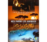 Nes parmi les animaux sauvages