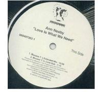 Nesby, Ann - Love Is What We Need