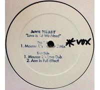 Nesby Ann - Love Is What We Need