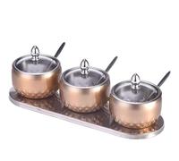 NESPIQ Barattoli per Spezie Set di Contenitori per Spezie in Barattolo per Condimenti in Acciaio Inossidabile con Set di Contenitori per Condimenti con Cucchiai E Coperchi Contenitori per Cucina(C)