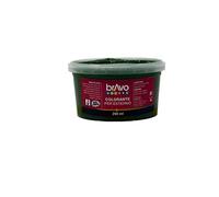 Nespoli Colorante Universale per Esterni Verde Ossido 200ml