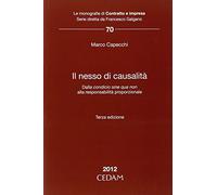 Nesso di causalita'
