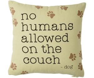 Nessun Umano Permesso Sul Divano Cuscino Per Cani 10x10
