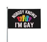 Nessuno sa che sono gay, 3x5 piedi, bandiera LGBTQ Proud per esterni, cortile o giardino