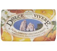Nesti Dante Sapone Vegetale Dolce Vivere Capri - 250g - Naturale, Biodegradabile, con Zagara, Clementino e Basilico, Corpo e Viso, Pelli Sensibili, Saponetta mani