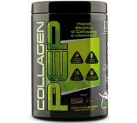 NET INTEGRATORI COLLAGEN PEP PEPTIDI BIOATTIVI COLLAGENE MASS GAINER IDROLISI