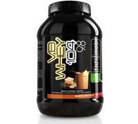 NET Integratori VB WHEY 104 9.8 Optipep 900g Wafer Nocciola Proteine Isolate