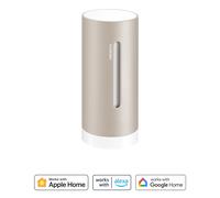 Netatmo NIM-S-WW stazione meteorologica digitale Grigio Batteria