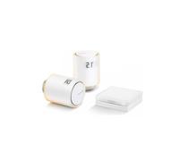 Netatmo Valvole Smart Starter Pack Kit Relé e 2 Valvole Termostatiche - NVP-IT