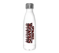 Netflix Stranger Things - Bottiglia in acciaio inox con logo Stranger Flame multicolore, 500 ml