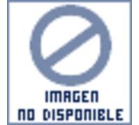 NETGEAR ANTENA Insight PRO VPN SUBS 3 A OS 1 LICE