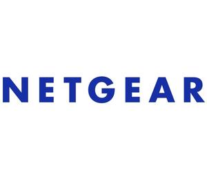 Netgear NMS300L2-10000S - Software - Amministrazione - Solo licenza