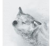 Netherworld Algida Bellezza (CD) Album