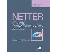 Netter. Atlante anatomia umana. Scienze motorie e fisioterapia