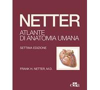 Netter. Atlante di anatomia umana