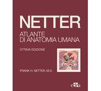Netter. Atlante di anatomia umana