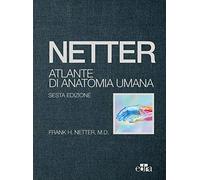 Netter. Atlante di anatomia umana