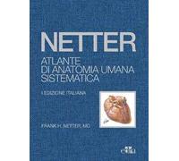 Netter. Atlante di anatomia umana sistematica