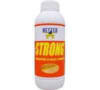 Nettex Strong Disincrostante Per Pavimenti Per Rimuovere Cemento, Calcare - 1 L