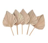 Nettoppo Decorazioni per La Camera con Foglie Palma Essiccate 5 Pezzi - 45,7 Cm Altezza X 25,4 Cm Larghezza Grande Decorazione nel Foglia Palma Naturale per Un Bellissimo Look Boho