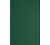 Netuno 10 cartoncini colorati effetto gomma verde formato A4 21 x 29,7 cm 330g Plike Green cartoncino elegante vellutato morbido plastic-like per lavori creativi partecipazioni inviti copertine