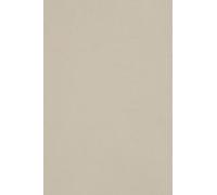 Netuno 10 cartoncini colorati grigio chiaro formato A3 297 x 420 mm Burano Grigio cartoncini stampabili fai da te biglietti da visita augurii bomboniere fogli colorati carta da zucchero