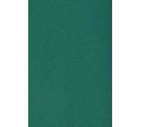 Netuno 10 cartoncini colorati verde scuro formato A5 148 × 210 mm 250g Burano English Green carte colorate A5 per decorazioni DIY lavoretti carta da zucchero alta qualità carta decorativa per inviti