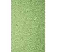 Netuno 10 cartoncini marcati a feltro verde pistacchio formato A5 148x 210 mm 220g Prisma Pistacchio carta colorata con texture per biglietti inviti partecipazioni matrimonio fai da te copertine menu