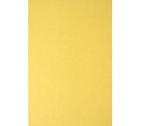 Netuno 10 cartoncino colorato con texture giallo formato A4 21 x 29,7 cm 215g Nettuno Pompelmo cartoncino texturizzato per biglietti da visita menù biglietti di auguri packaging partecipazioni
