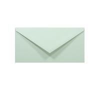 Netuno 100 buste color verde pastello DL 110 x 220 mm 11 x 22 cm 80 g/m² arcobaleno decorativo buste colorate lunghe buste per lettere volantini biglietti da visita compleanni matrimoni