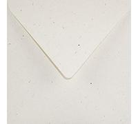 Netuno 100 buste da lettera quadrate crema 15,5 x 15.5 cm 130g Flora Giglio buste eleganti carta riciclata per matrimonio compleanno partecipazioni inviti battesimo Natale Pasqua biglietti auguri