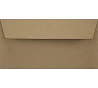 Netuno 100 buste lettera ecologiche formato americano DL 11 x 22 cm 100g buste lettera marroni taglio dritto con strip adesivo senza finestra buste corrispondenza carta riciclata