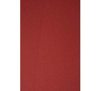 Netuno 100 cartoncini colorati con texture rosso formato A4 21 x 29,7 cm 280g Nettuno Rosso carta colorata texture per lavoretti fai da te bigliettini inviti partecipazioni cartoncino texture A4