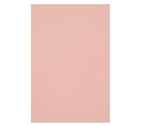 Netuno 100 fogli cartoncino colorato riciclato rosa pallido formato A4 21 x 29,7 cm 285g Woodstock Cipria carta ecologica stampabile per bricolage lavoretti creativi partecipazioni inviti bomboniere