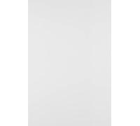 Netuno 100 fogli di cartoncino bianco bristol formato A3 297 x 420 mm 250g cartoncino bianco stampante cartelloni bianchi per bomboniere lavoretti dipingere scrapbooking fai da te bambini