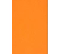Netuno 100x carta colorata arancione formato A4 210 × 297 mm 115g Sirio Color Arancio carta colorata per stampante fai da te bigliettini inviti partecipazioni Natale matrimonio compleanno