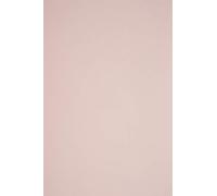 Netuno 100x carta colorata rosa pallido formato A4 210 × 297 mm 115g Sirio Color Nude carta bristol A4 per lavoretti bricolage decorazioni bigliettini partecipazioni inviti carta da zucchero