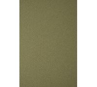Netuno 100x carta textured verde scuro formato A4 21 x 29,7 cm 250g Tintoretto Wasabi cartoncino colorato marcato a feltro per inviti nozze partezipazioni matrimonio biglietti da visita auguri