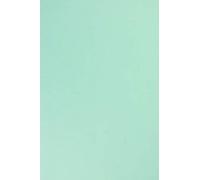 Netuno 100x cartoncino colorato blu azzurro formato A4 21 x 29,7 cm 210g Sirio Color Blu Celeste cartoncino spesso per lavoretti bricolage bigliettini partecipazioni inviti carta da zucchero