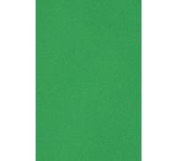 Netuno 100x cartoncino colorato verde formato A4 210x 297 mm Burano Verde Bandiera carta colorata per lavoretti bricolage fai da te bigliettini inviti partecipazioni Natale matrimonio compleanno