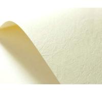 Netuno 100x cartoncino goffrato avorio pelle formato A4 21 x 29,7 cm 246g carta strutturata goffrata per biglietti visita auguri partecipazioni inviti matrimonio compleanno carta textured