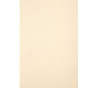 Netuno 100x cartoncino marmorizzato avorio formato A4 21 x 29,7 cm 180g Aster Laguna Natural carta marmorizzata avorio A4 per diplomi certificati inviti biglietti auguri cartoncino effetto marmo