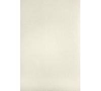 Netuno 100x cartoncino strutturato vergato avorio formato A4 21 x 29,7 cm 220g Aster Laid Ivory carta elegante con effetto filigrana per inviti partecipazioni fai da te biglietti stampa laser inkjet