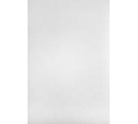 Netuno 100x cartoncino strutturato vergato bianco formato A4 21 x 29,7 cm 220g Aster Laid White carta elegante con effetto filigrana per inviti partecipazioni fai da te biglietti stampa laser inkjet