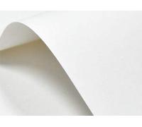 Netuno 10x cartoncino bianco liscio formato A3 29,7 x 42 cm 246g carta liscia bianca elegante per biglietti visita auguri partecipazioni inviti matrimonio compleanno carta textured