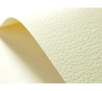 Netuno 10x cartoncino goffrato martellato avorio formato A3 29,7 x 42 cm 246g carta strutturata goffrata per biglietti visita auguri partecipazioni inviti matrimonio compleanno carta textured