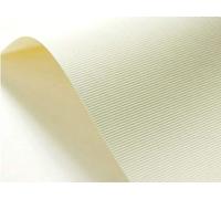 Netuno 10x cartoncino goffrato rigato avorio formato A3 29,7 x 42 cm 246g carta strutturata goffrata per biglietti visita auguri partecipazioni inviti matrimonio compleanno carta textured