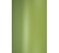 Netuno 10x cartoncino perlato verde chiaro formato A5 148 x 210 mm 250g Majestic Satin Lime carta perlescente per Natale compleanno packaging di lusso menu decorazioni partecipazioni