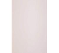 Netuno 10x cartoncino riciclato rosa pastello formato A4 21 x 29,7 cm 300g Keaykolour Pastel Pink cartoncino a4 per inviti partecipazioni scatole bomboniere biglietti augurali matrimonio battesimo