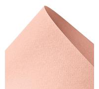 Netuno 10x cartoncino strutturato salmone con texture formato A4 21 x 29,7 cm 220g Prisma Salmone carta creativa ruvida con superficie feltromarcata cartoncino colorato per lavoretti biglietti